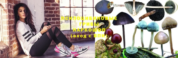 трава Абинск