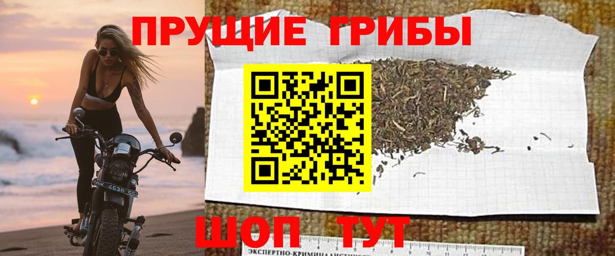 Галлюциногенные грибы мухоморы Назрань