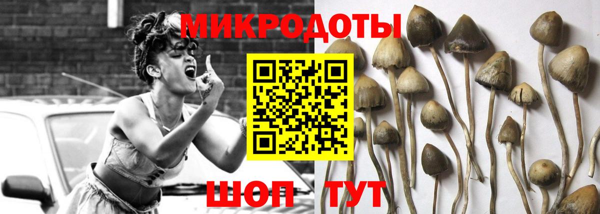Назрань  где найти   Вход с VPN  Псилоцибиновые грибы мухоморы  Галлюциногенные грибы GOLDEN TEACHER 