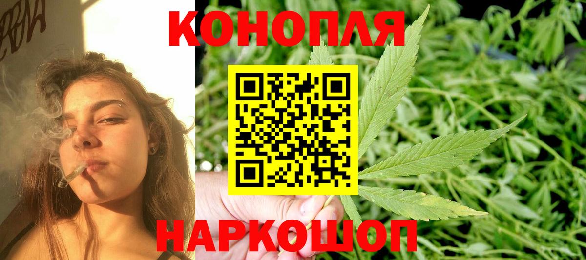 Шишки марихуана семена  Каннабис план  Вход с VPN  Назрань  МАРИХУАНА OG Kush 